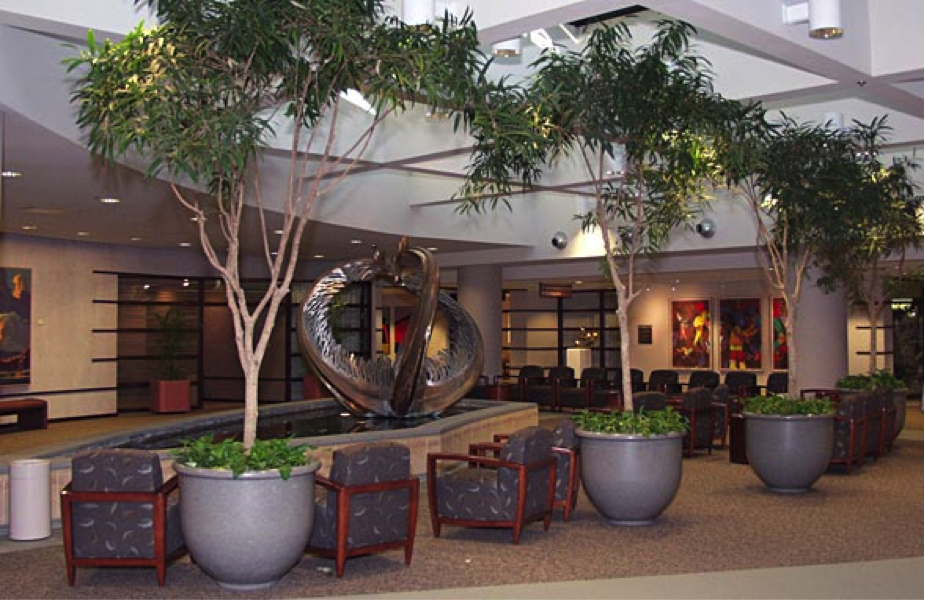 concourse_mayo