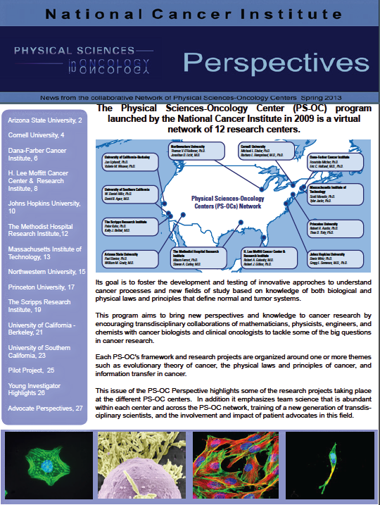 perspectives spring 2013 cover