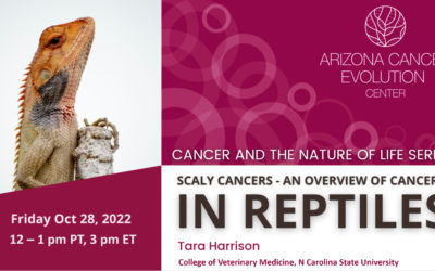 SCALY CANCERS – AN OVERVIEW OF CANCERS IN REPTILES, Zoom talk, Friday 28th October, 12- 1pm AZ & PT (3-4pm EST)